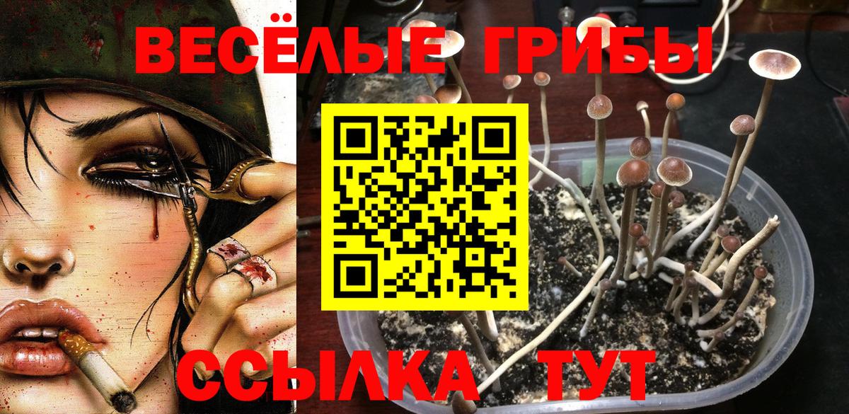 Галлюциногенные грибы Cubensis Кемерово