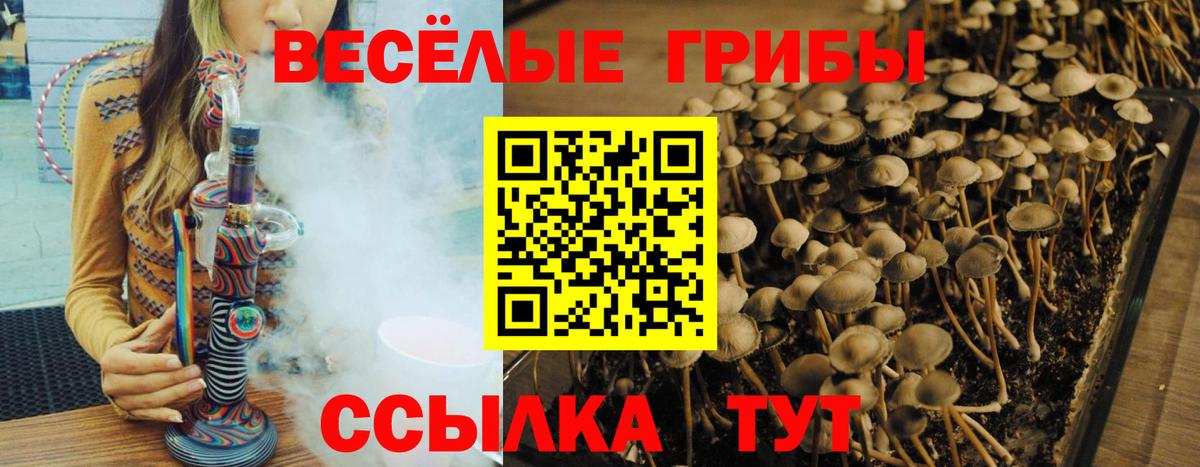 Галлюциногенные грибы GOLDEN TEACHER  где продают   Кемерово  Вход с VPN 
