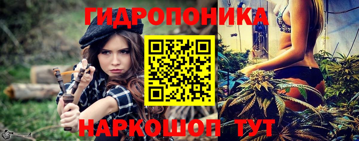 Бошки марихуана MAZAR Кемерово